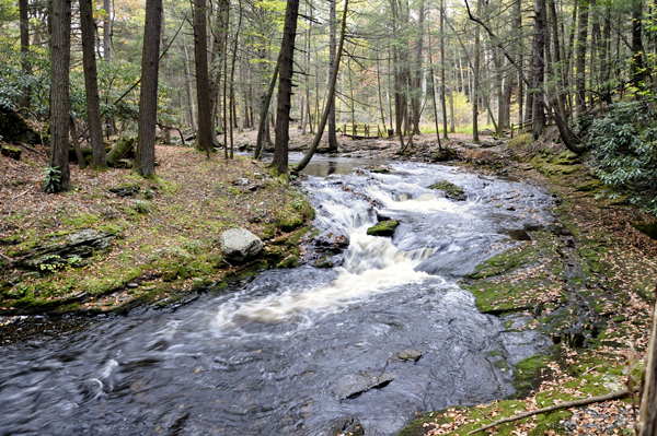 Upper Canyon and Little Bushkill Creek